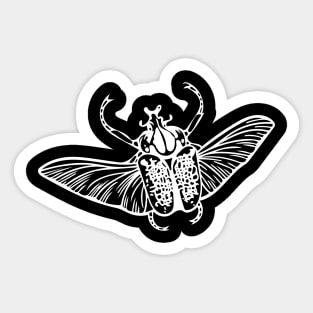 Goliath Beetle Sticker